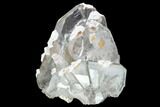 Light Blue, Bladed Barite Crystal Cluster - Peru #103911-1